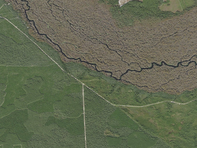 Aerial image of Davenport Landing