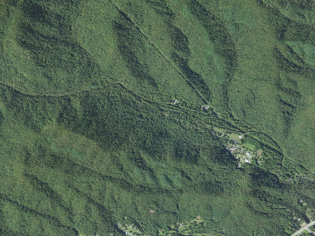 Aerial image of Davidson River Campground
