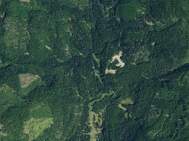 Aerial image of Davis Creek