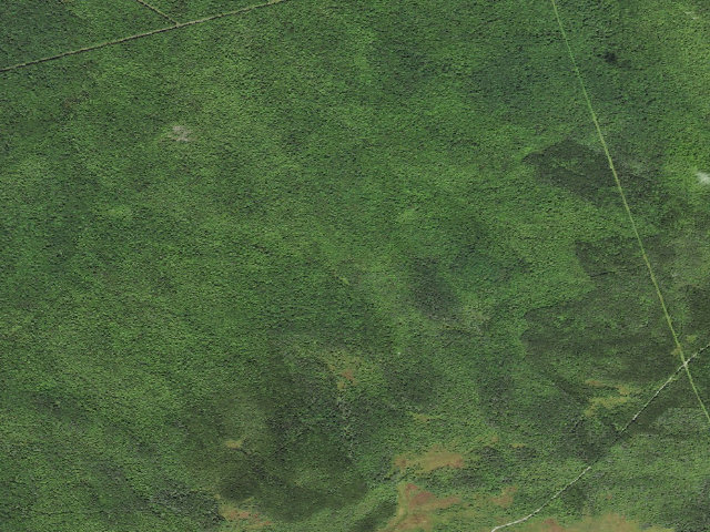 Aerial image of Davis Shelter