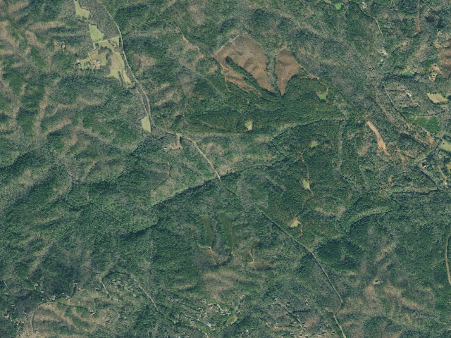 Aerial image of Dawson Forest WMA - Baptising Hole