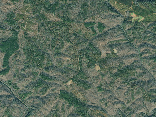 Aerial image of Dawson Forest WMA Primitive Campground #1