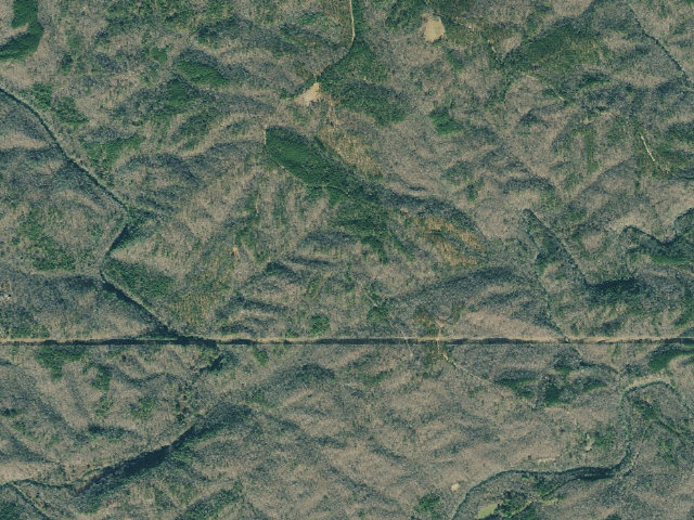 Aerial image of Dawson Forest WMA Primitive Campground #10