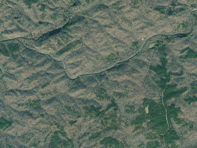 Aerial image of Dawson Forest WMA Primitive Campground #11