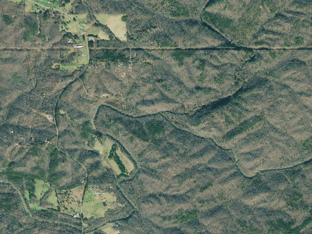 Aerial image of Dawson Forest WMA Primitive Campground #12