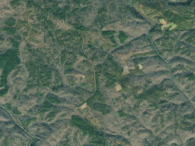 Aerial image of Dawson Forest WMA Primitive Campground #2