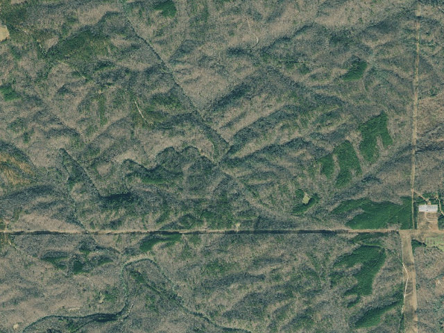 Aerial image of Dawson Forest WMA Primitive Campground #3