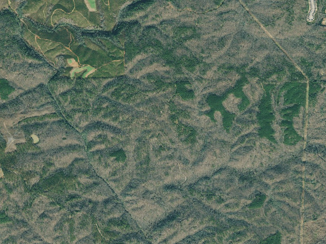 Aerial image of Dawson Forest WMA Primitive Campground #4
