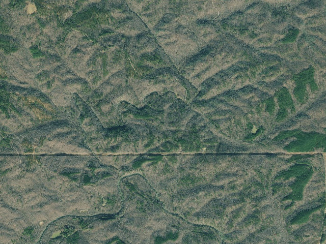 Aerial image of Dawson Forest WMA Primitive Campground #5