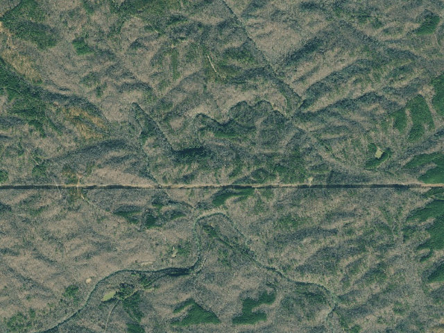 Aerial image of Dawson Forest WMA Primitive Campground #6