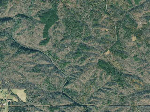 Aerial image of Dawson Forest WMA Primitive Campground #8