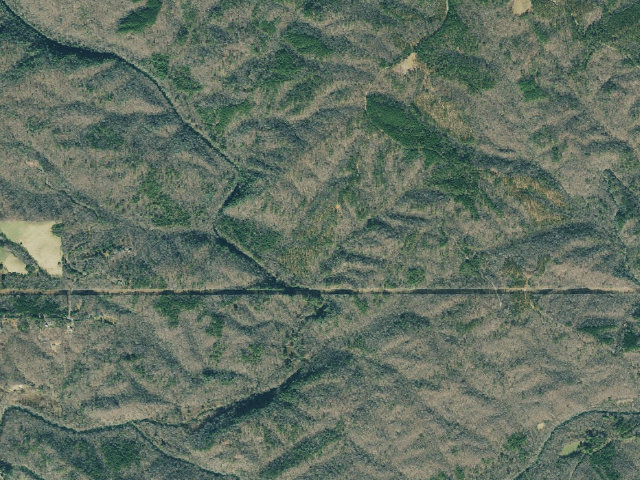 Aerial image of Dawson Forest WMA Primitive Campground #9
