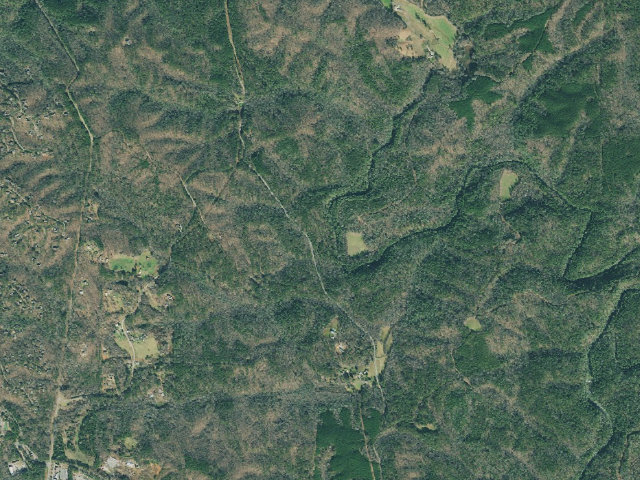 Aerial image of Dawson Forest WMA - Six Mile / Lindy Ford