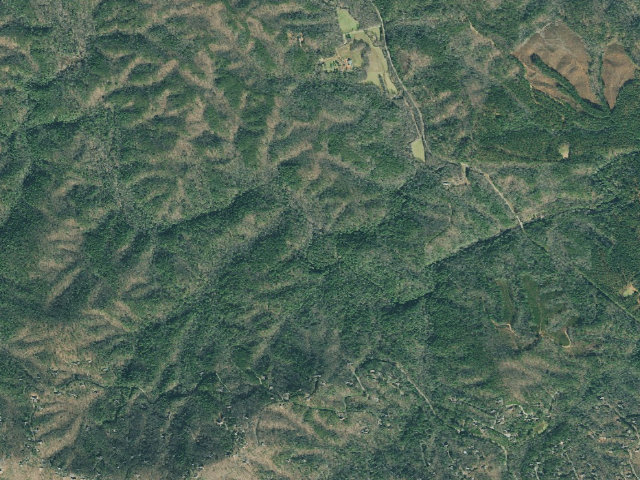 Aerial image of Dawson Forest WMA - Wildcat
