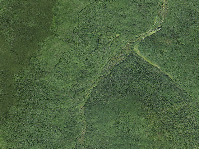 Aerial image of Day Run Campground