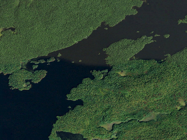 Aerial image of Dead Creek Flow Primitive Campsite 27 (Five Ponds Wilderness)
