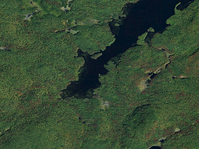 Aerial image of Dead Creek Flow Primitive Campsite 35 (Five Ponds Wilderness)