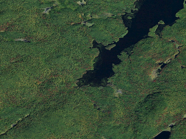 Aerial image of Dead Creek Flow Primitive Campsite 37 (Five Ponds Wilderness)