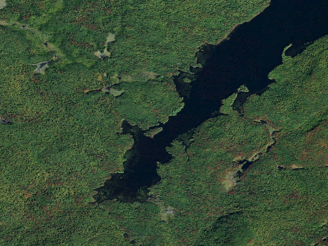 Aerial image of Dead Creek Flow Primitive Campsite 38 (Five Ponds Wilderness)
