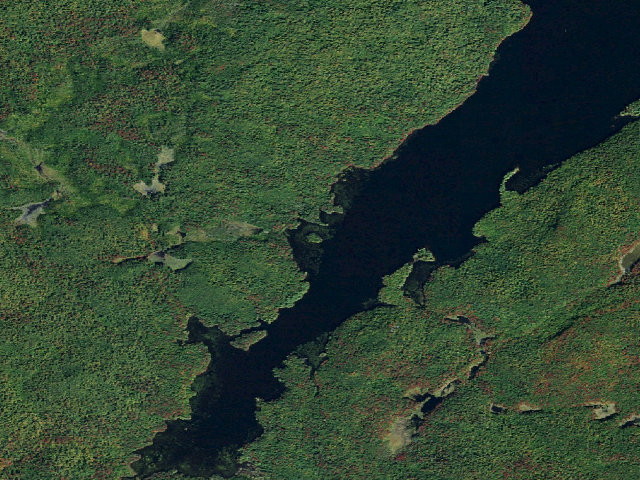 Aerial image of Dead Creek Flow Primitive Campsite 39 (Five Ponds Wilderness)