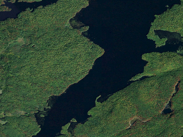 Aerial image of Dead Creek Flow Primitive Campsite 40 (Five Ponds Wilderness)