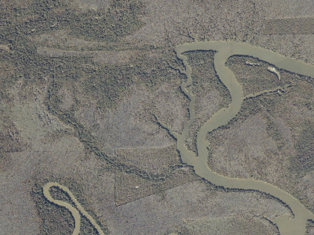 Aerial image of Dead Lake Island floating camping platform (Bartram Canoe Trail, Upper Mobile-Tensaw Delta)