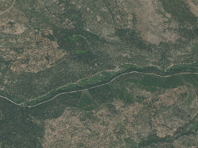 Aerial image of Deadhorse Creek Forest Camp