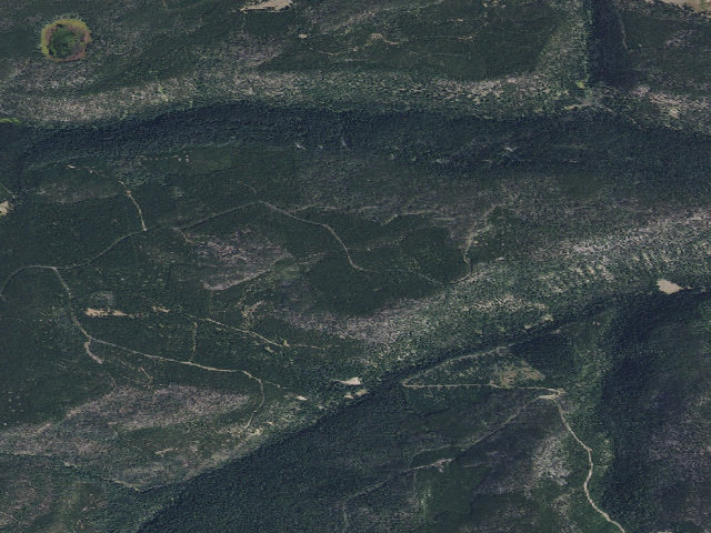 Aerial image of Deadhorse Creek Rd 2045-1