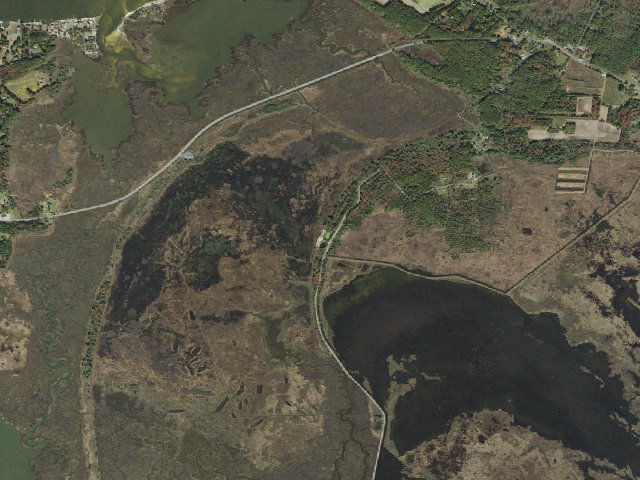 Aerial image of Deal Island Wildlife Management Area - primitive camping area