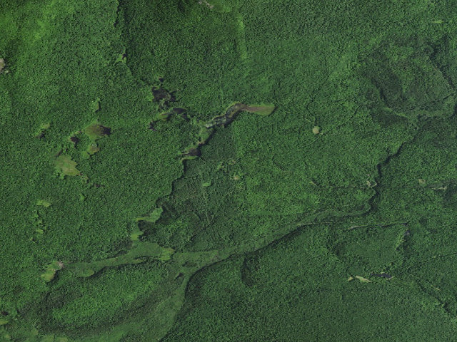 Aerial image of Debar Meadows Campsite (Debar Mountain Wild Forest)