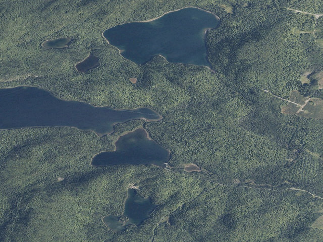 Aerial image of Deboullie East (Deboullie Public Land)