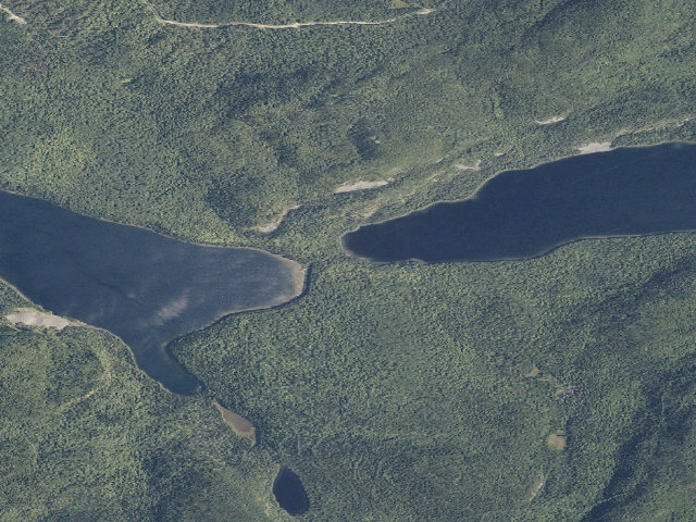 Aerial image of Deboullie West (Deboullie Public Land)