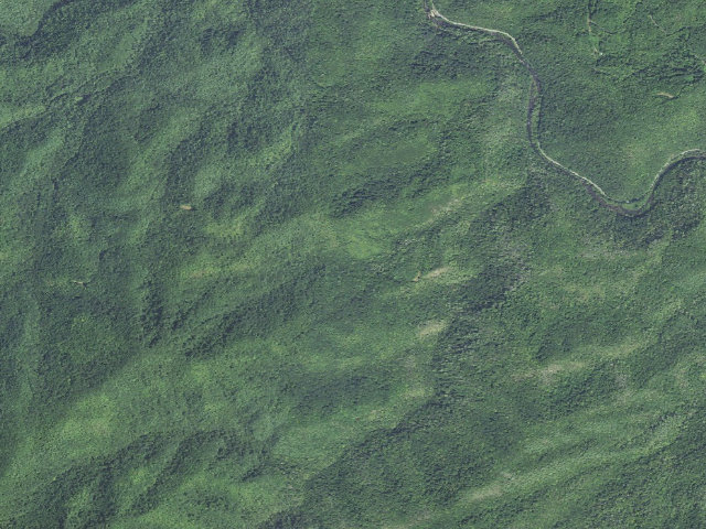 Aerial image of Deep Creek Hunt Camp