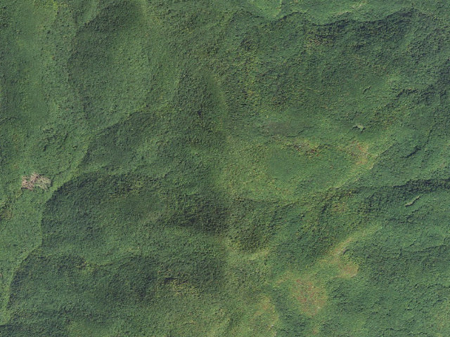 Aerial image of Deep Gap Shelter