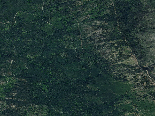 Aerial image of Deer Camp
