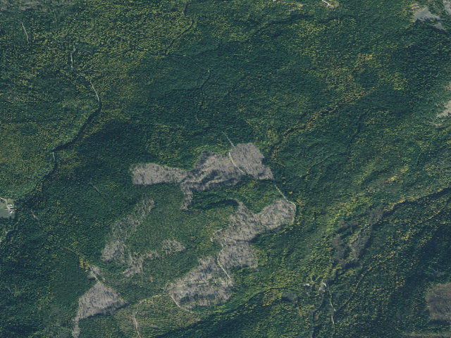 Aerial image of Deer Creek Road 17
