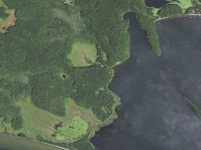 Aerial image of Deer Lake