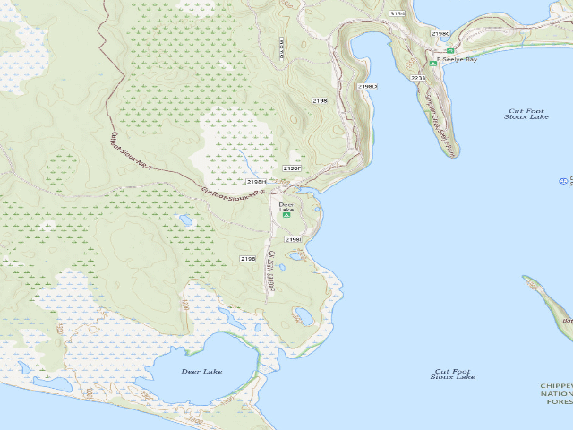 USGS topographic map of Deer Lake