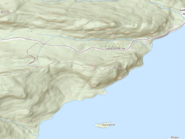 USGS topographic map of Deer Leap Campsite 2 (Lake George Wild Forest)