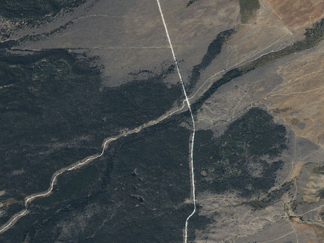 Aerial image of Deer
