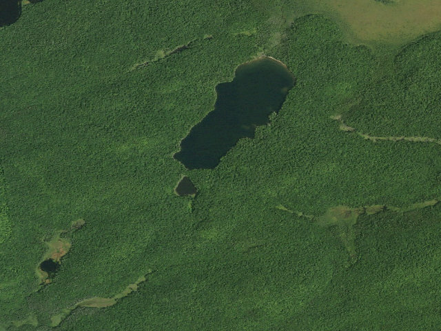 Aerial image of Deer Pond Site 1 (Saranac Lakes Wild Forest)
