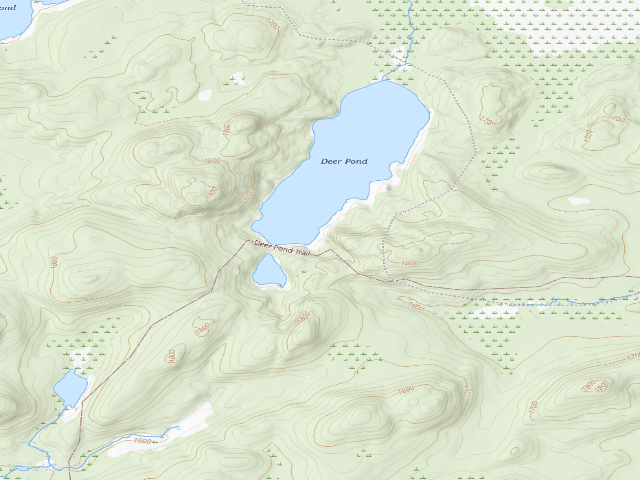 USGS topographic map of Deer Pond Site 1 (Saranac Lakes Wild Forest)