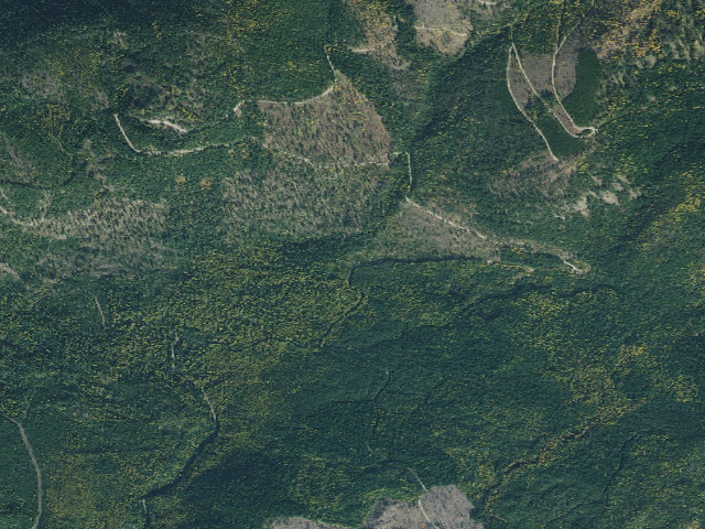 Aerial image of Deer Ridge 01