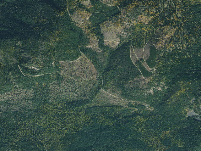 Aerial image of Deer Ridge 04