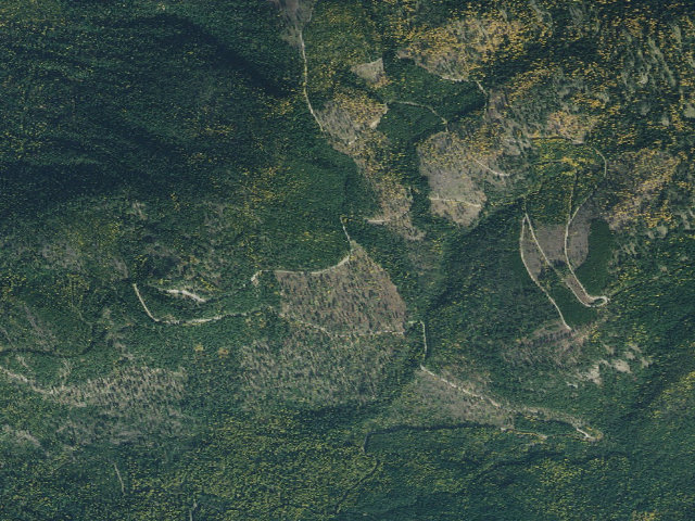 Aerial image of Deer Ridge 05