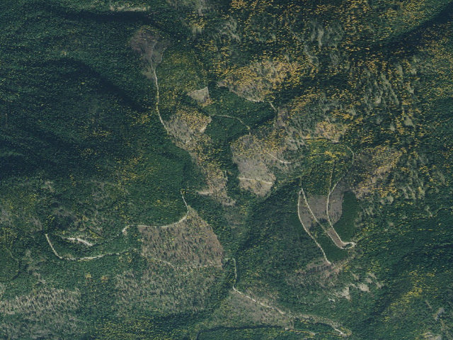 Aerial image of Deer Ridge 06