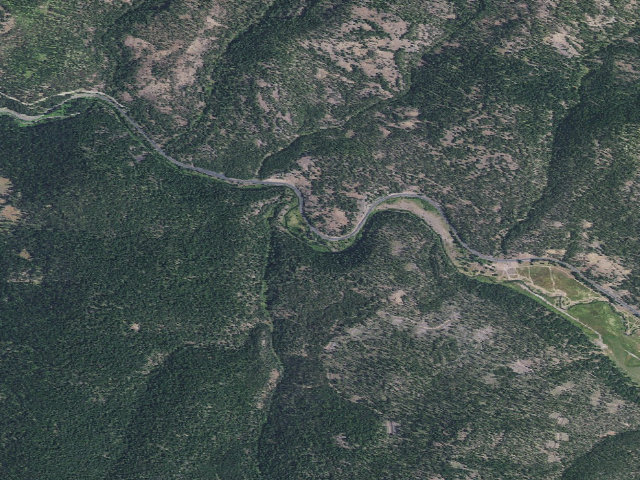 Aerial image of Deerhorn Forest Camp