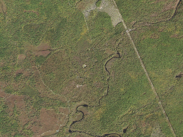 Aerial image of Delaware State Forest roadside campsite E007 Middle Branch