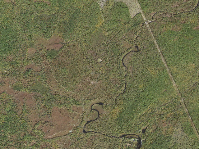 Aerial image of Delaware State Forest roadside campsite E008 Bridge Camp