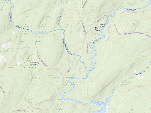USGS topographic map of Delaware State Forest roadside campsite E008 Bridge Camp
